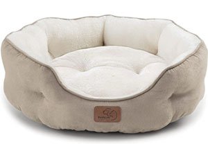 Best Dog Beds for Dachshunds