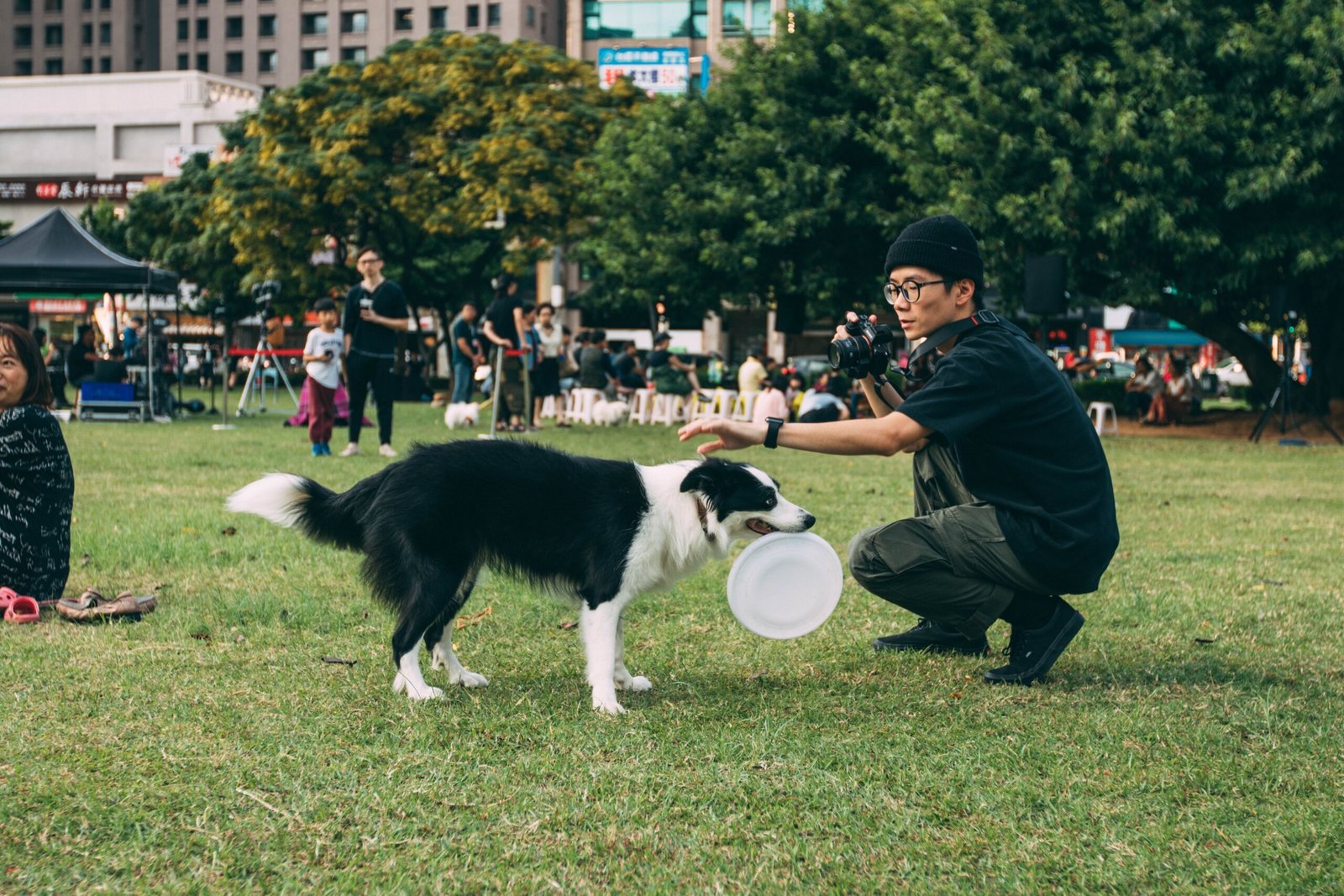 How Can I Stop My Dog From Barking Excessively?