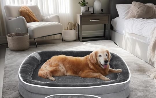 OhGeni Orthopedic Dog Bed For Large Dogs Reviewed and Tested 2023